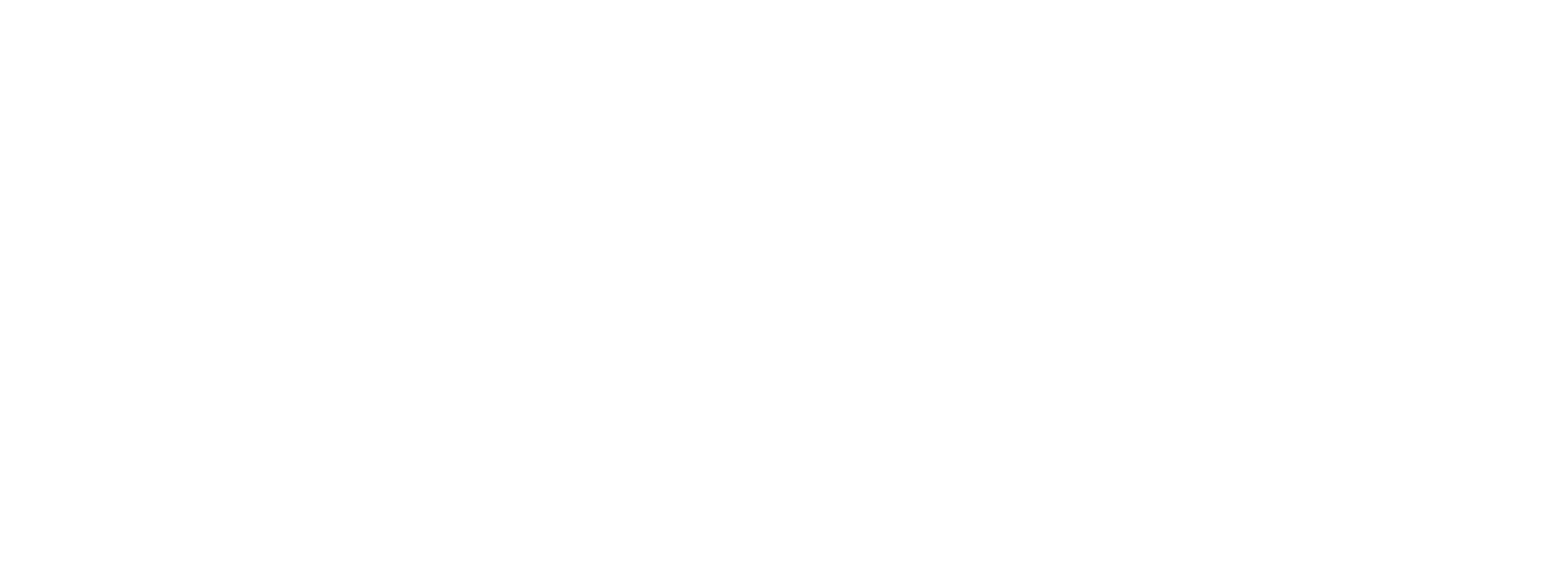 Roberto Capucci Logo 2021 White